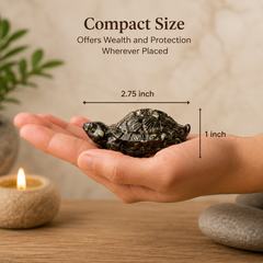 PYRITE TORTOISE (KACHHUA)