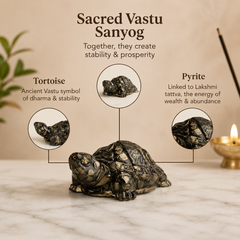 PYRITE TORTOISE (KACHHUA)