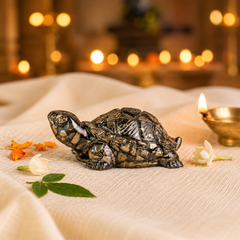 PYRITE TORTOISE (KACHHUA)