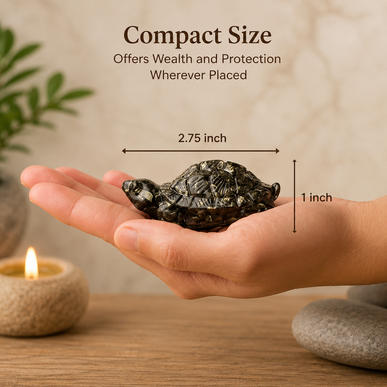 PYRITE TORTOISE (KACHHUA)