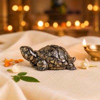 PYRITE TORTOISE (KACHHUA)